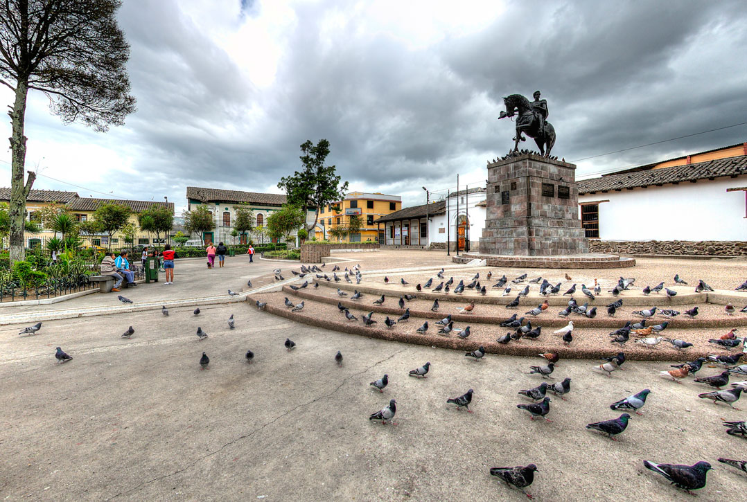 Acompañamiento para tu presencia digital